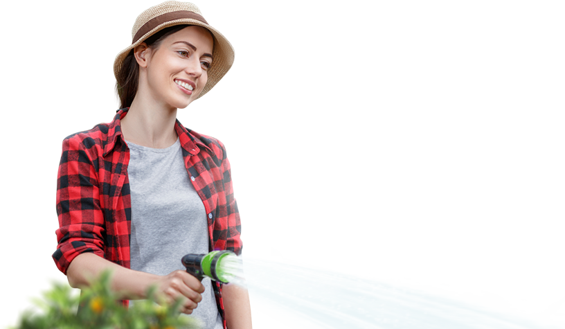 Stock liquidation: "2 for 1" for gardeners