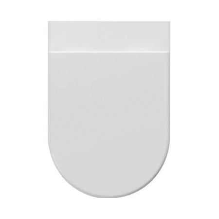 Aragio wall hung toilet with double flush