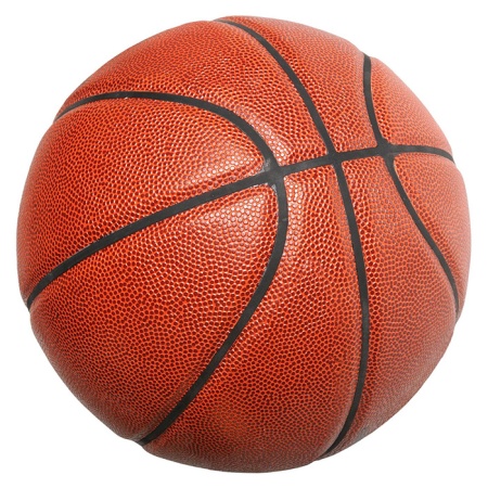 Basketball ball Farmax