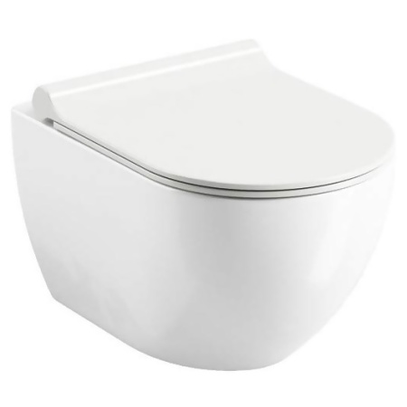 Aragio wall hung toilet with double flush